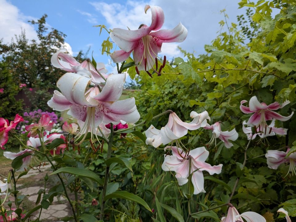 ��� ��������� ����: ��� �������� ���������� ����������