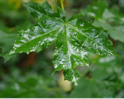 ��� �������� �������� � ������ �������� �� ��������� ��� � ������� ��������