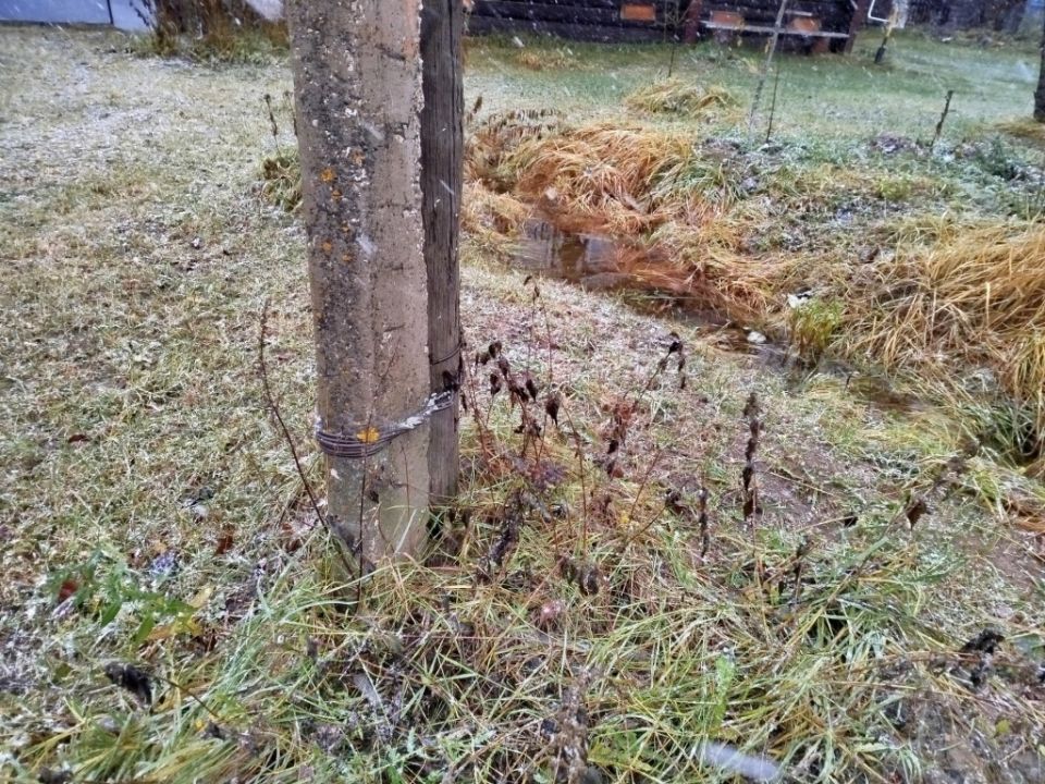 Как преобразить бетонный столб: креативные идеи для вашего участка