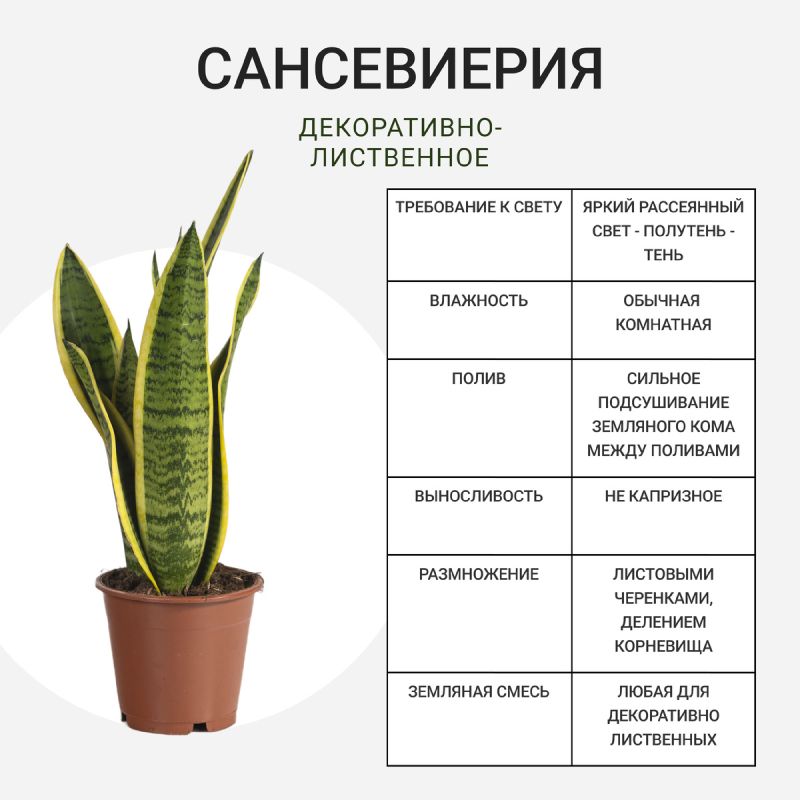 ������ ������������� ��������� �������� ��� ������ ����