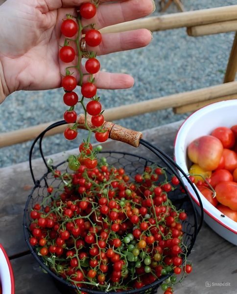 ����� ���� ���: ��������� ����� ��� ������ ����