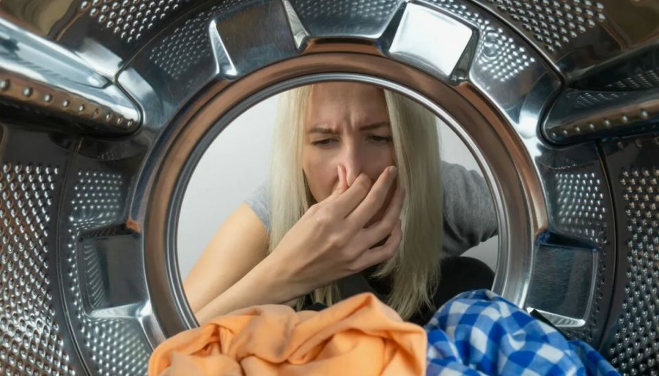 ������ ����� ������ ����� �������� �������? �������, ��� ������ ��������