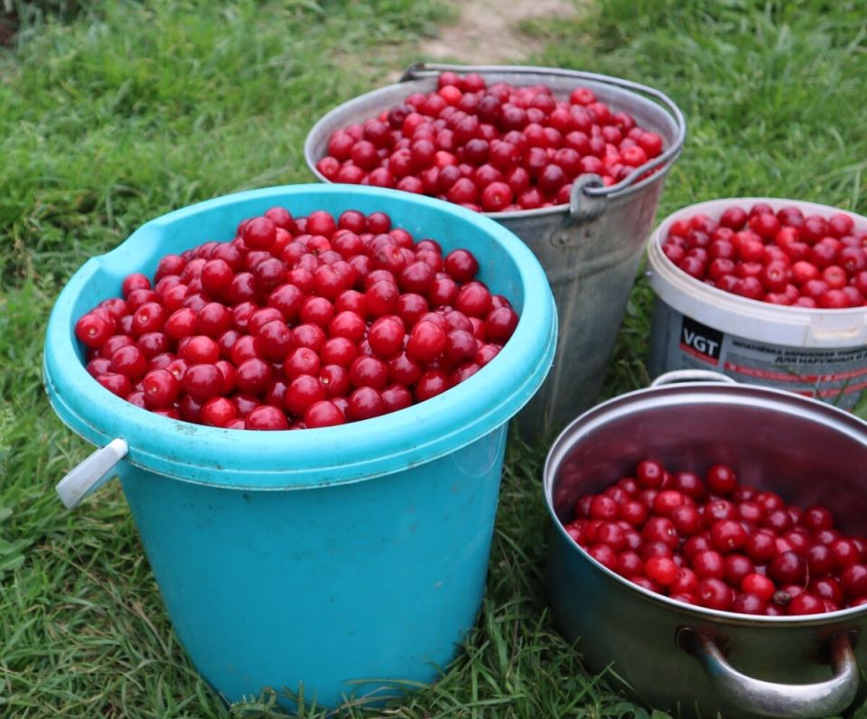 ��� ������� ��������� ����� ������� �������� ������� ������ ��� ��������� �����