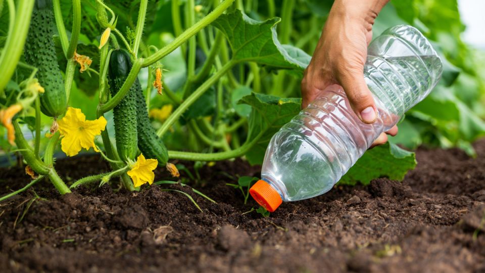 ����������� ������ ��� ������ � ��������� ������: ��� ������ ������ �� ���� ����