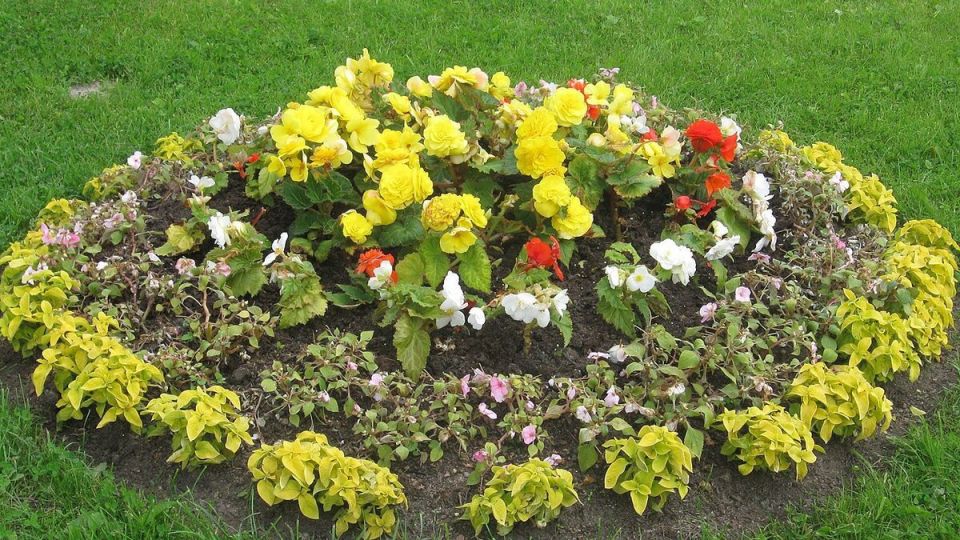 ������������� ������� � ����� ������: ����� � ��� ��������� ������������ ������