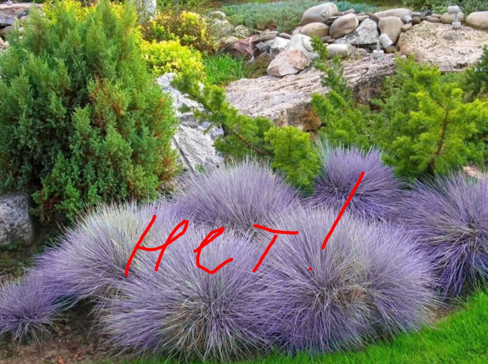 ������� �����: ����� ����������� � ������ ������ ��� ���������������