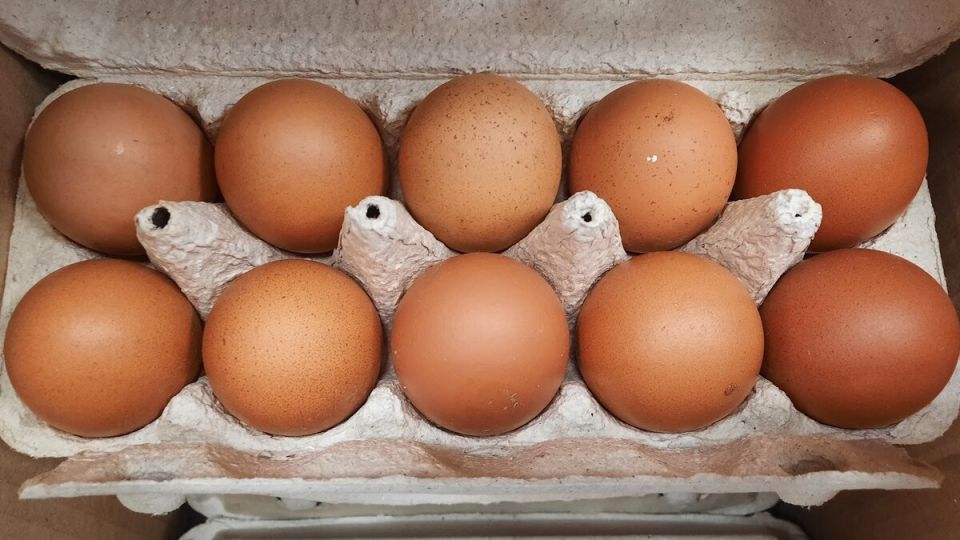 ������ ���� ��������� �� �� ����� ����� �����: ������������ �����