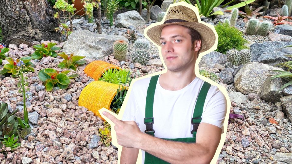 ���������� ����� ������ ����� �������� ������ � ����: ���������� ������� ������� �����