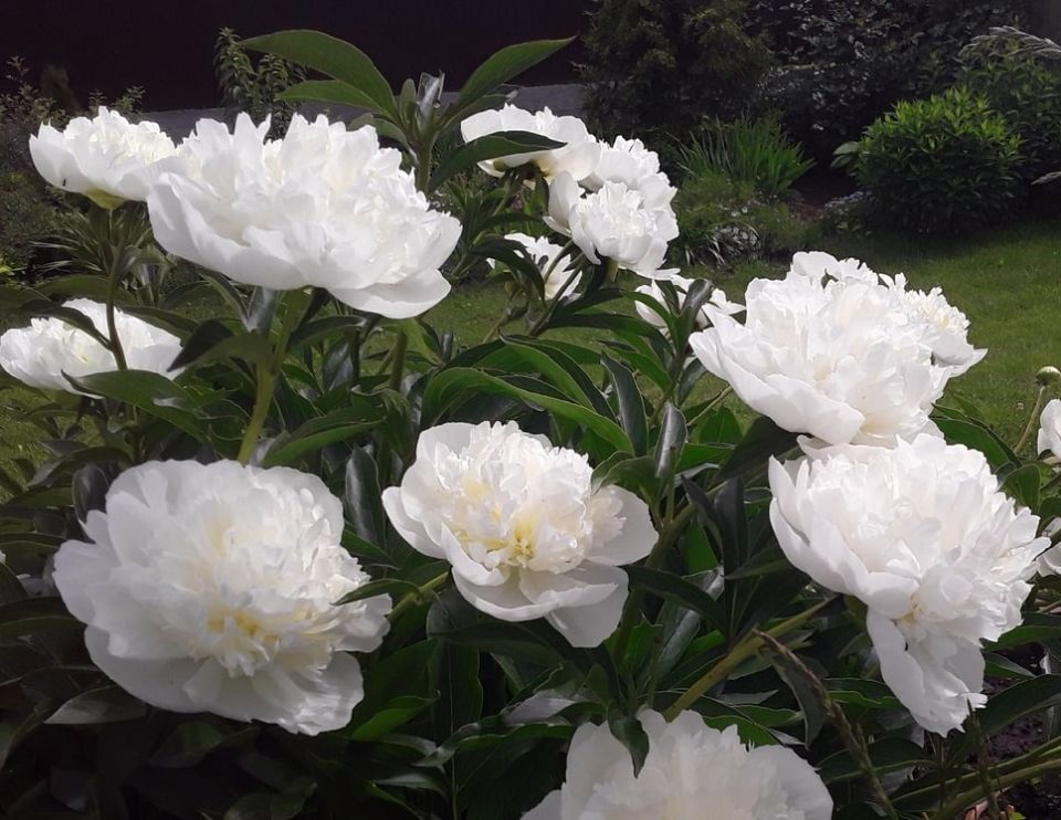 ������� � �����: ��������� ������ ������� ����