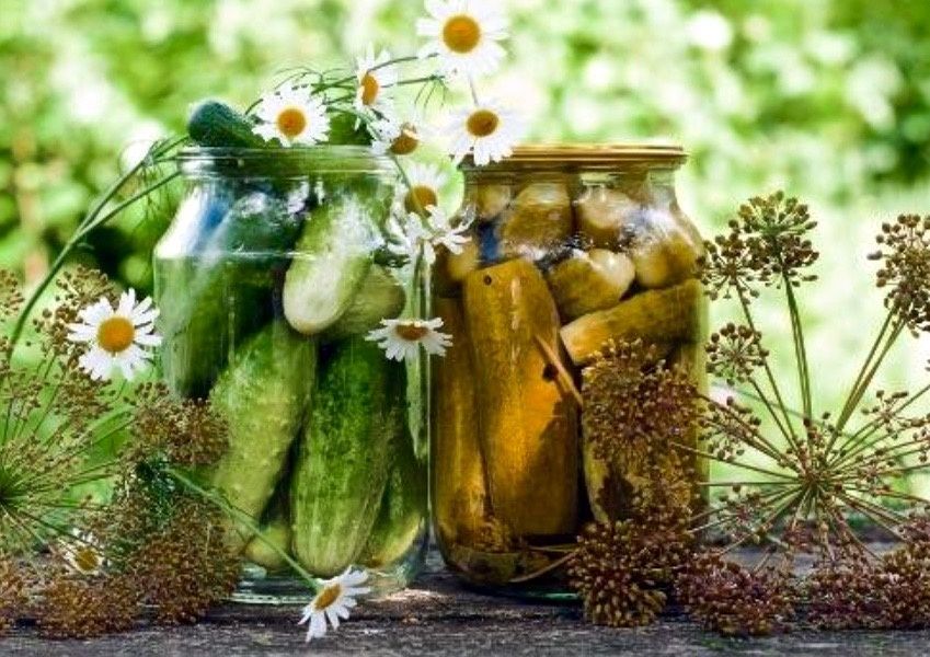 ������� ��������: ����������� ������� ��������� �� ���� �� ��������� ��������