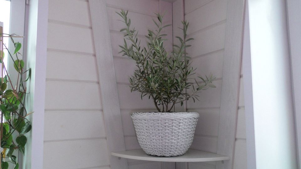 ���������� ����� �� ������� ��� �������� ��������