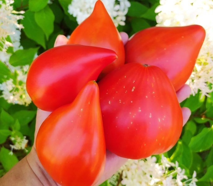 ����� ����������� ������ �������: �������� ����� ��� ���������