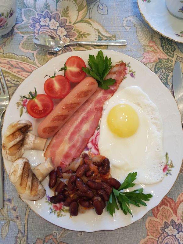 ���������� � �������� ����������� ��������