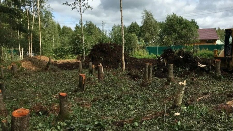 ��� ������� ������� ������� �� ����� �������: ������ ���������