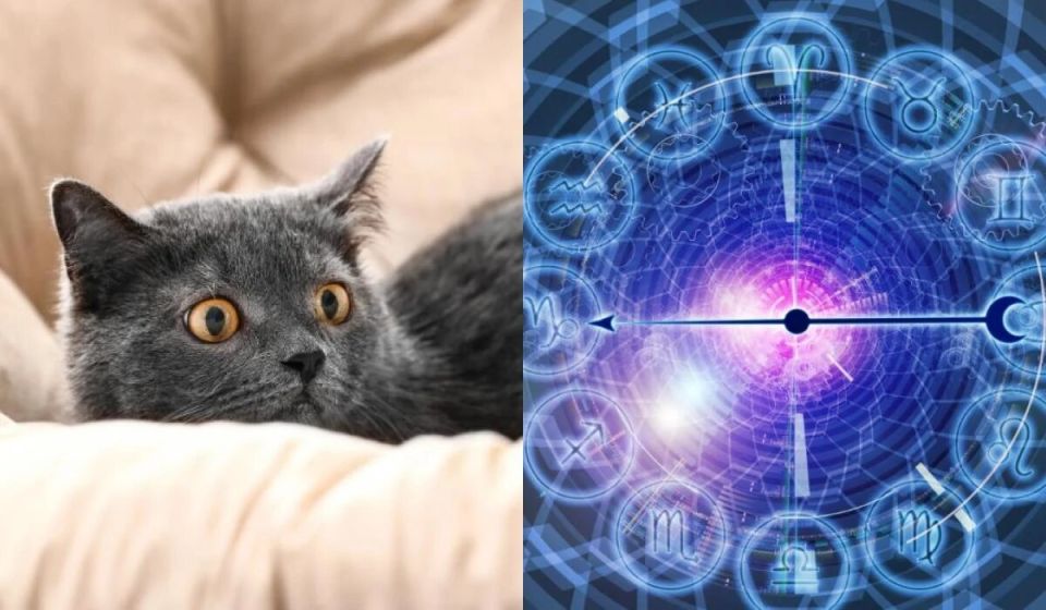 ����� �������� � ����� ����� � ����������� �� ����� �������