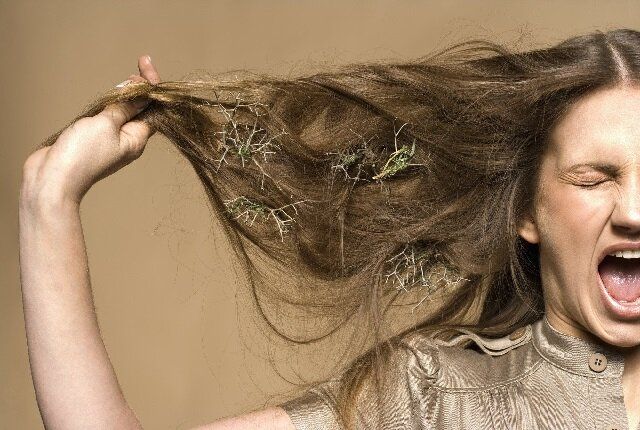 �������� � ��������: �������� ������� � ������� ������� � �������� ��������