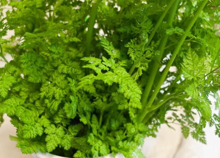 ��� ������� ��������� �������� �� �����������