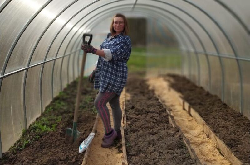 ��� ���������� ����������� ����� � �������: ������ ��� ������ �� ���������