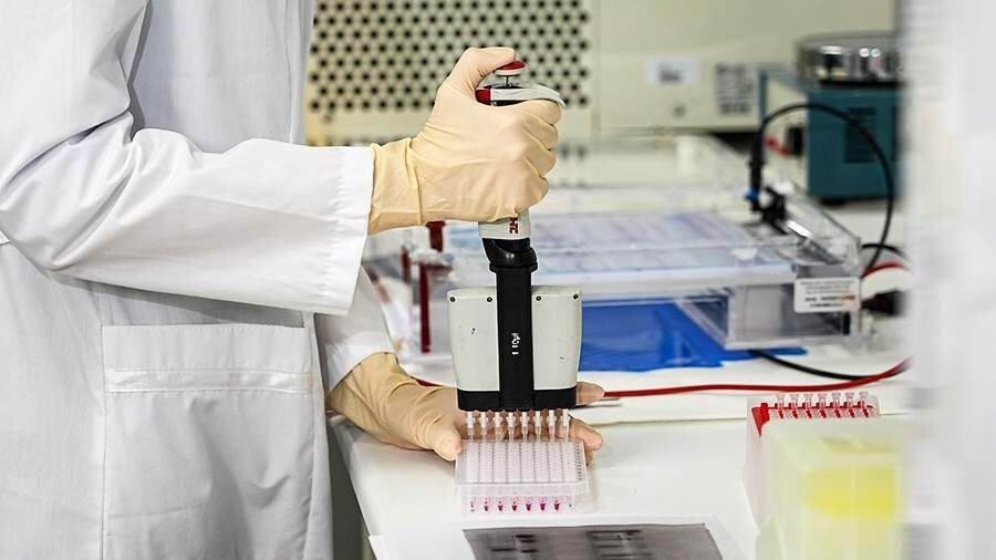 ������� ������ ������� ����������� �� �������� ������������ ������ �� �������