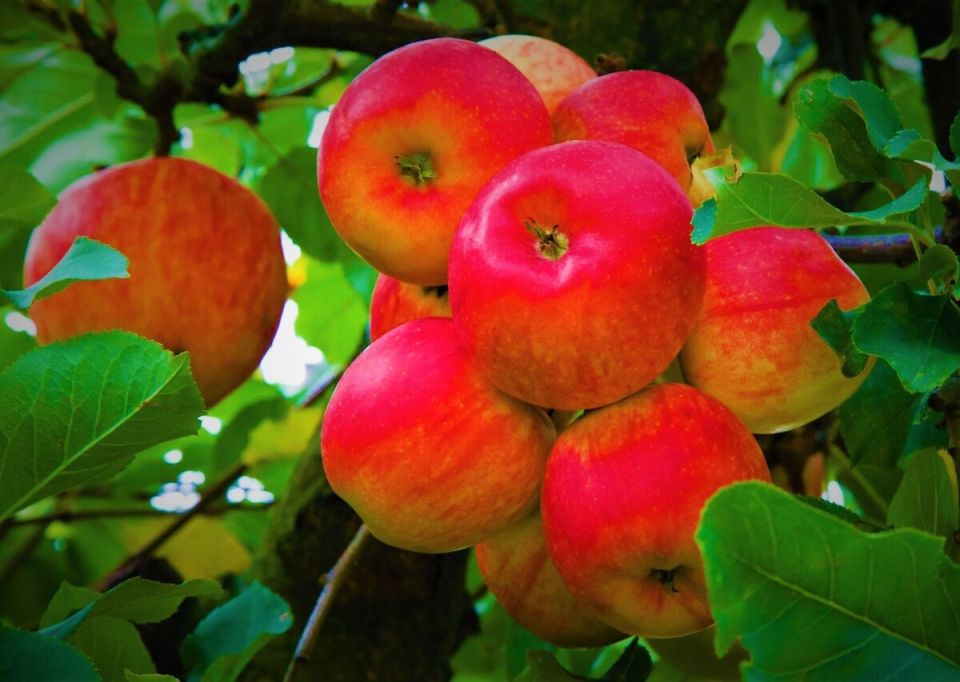 ��� �������� ������ � ����� ����: ������� ������� ���������